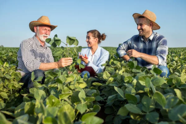 Farmers Insurance Group