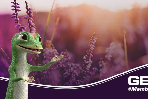 GEICO Insurance